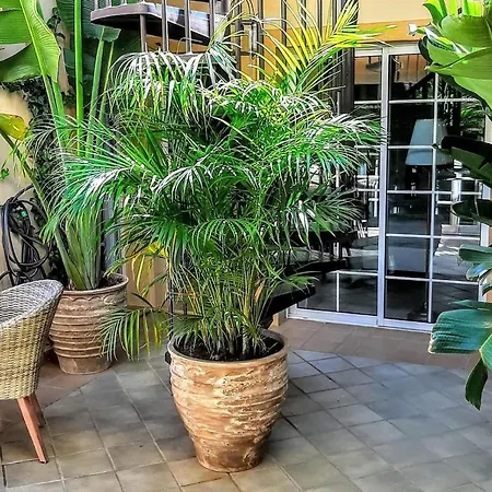 Holiday home Top Duplex Penthouse The Best Loca Costa Adeje (Tenerife)